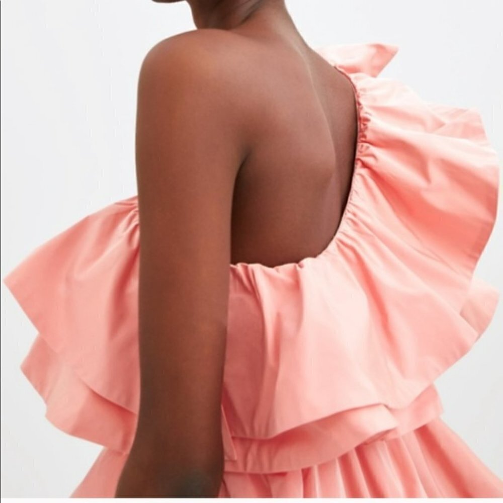 Zara Limited Edition Ruffled Asymmetric Dress - Picture 3 of 15